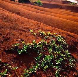 被取消的银河战士《Harmony》游戏实机画面遭泄露